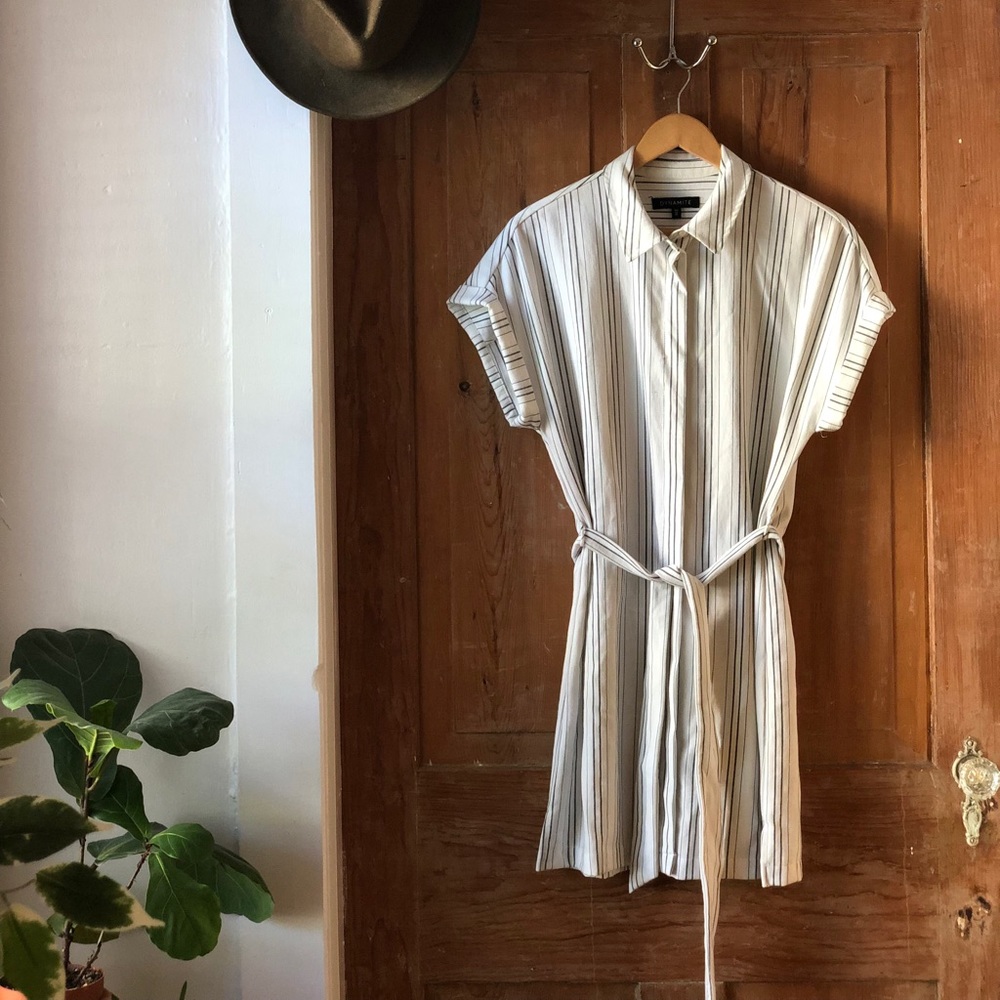 Pinstripe Dynamite Button Up Dress